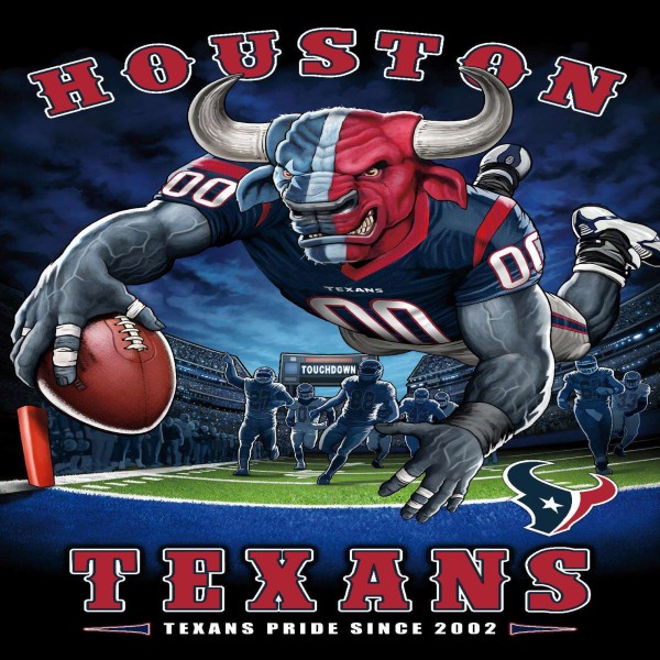 TS019 Houston Texans